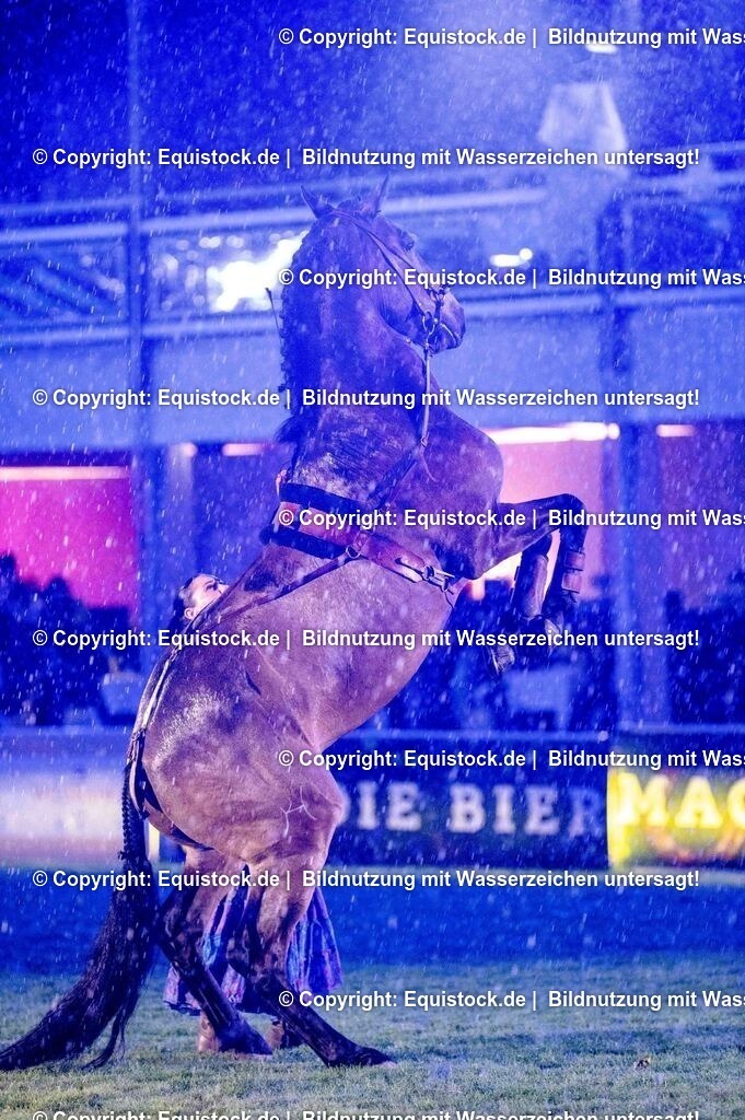 20250606_Lange-Pferdenacht_1145 | Foto: Thomas Hartig