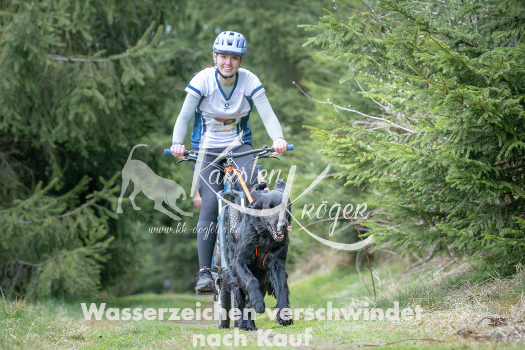 1312_ZZ93974 | kk-dogfotos