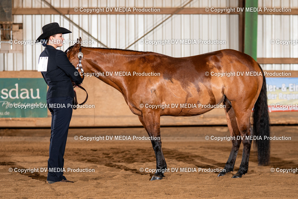 Balingen Tag 3-265 | dv-media-shop - Realisiert mit Pictrs.com