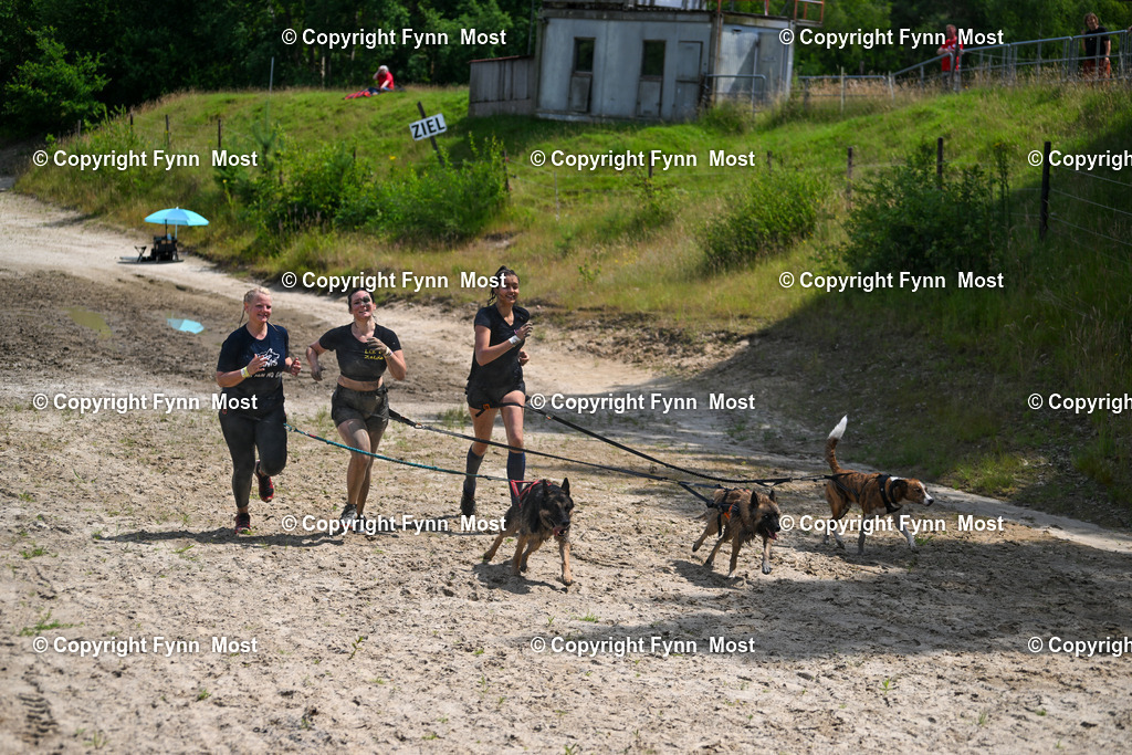 DSC_3662 | Hallo und herzlich Willkommen auf meiner Shop-Seite Fynn Most.

Ich wünsche Dir viel Spaß beim stöbern durch die Bilder, wenn Du Fragen hast oder Bilder vermisst, kannst du mir gerne eine Nachricht schreiben. - Realisiert mit Pictrs.com