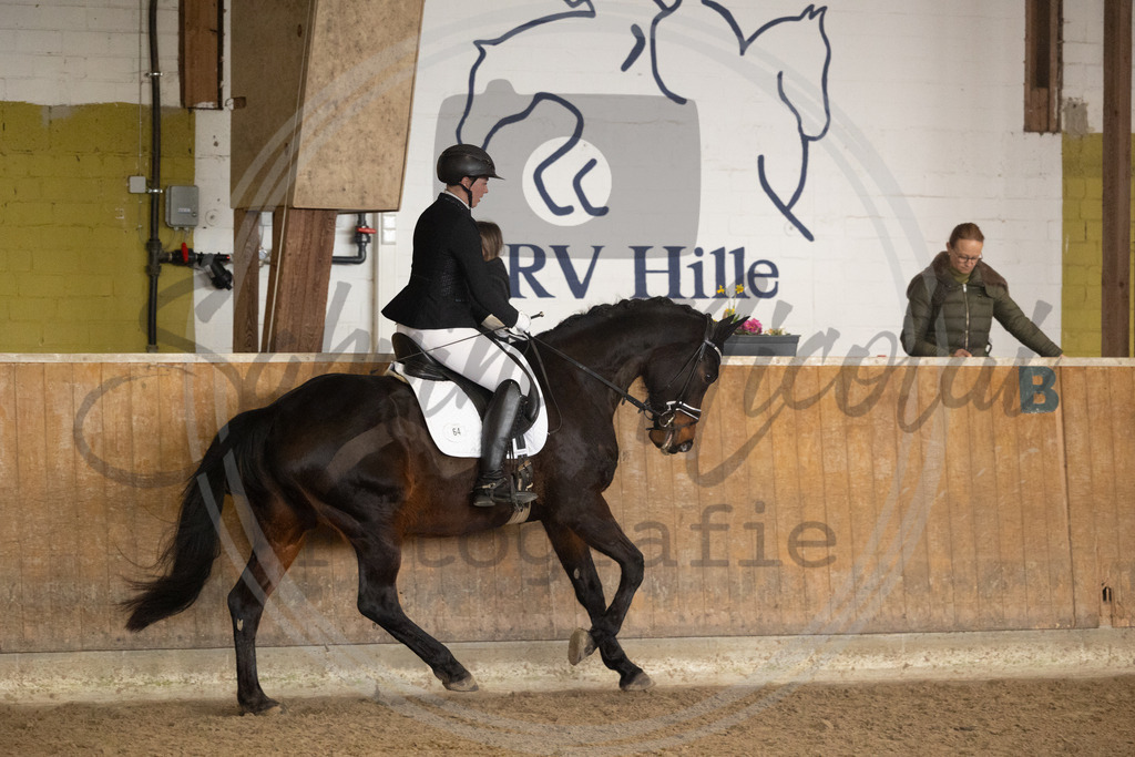 994A9016 | sabrinanicolaifotografie - Realisiert mit Pictrs.com