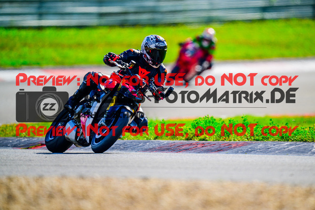 MaZZes_FotoMatrix_240911_6007705_9056 | GRUEN