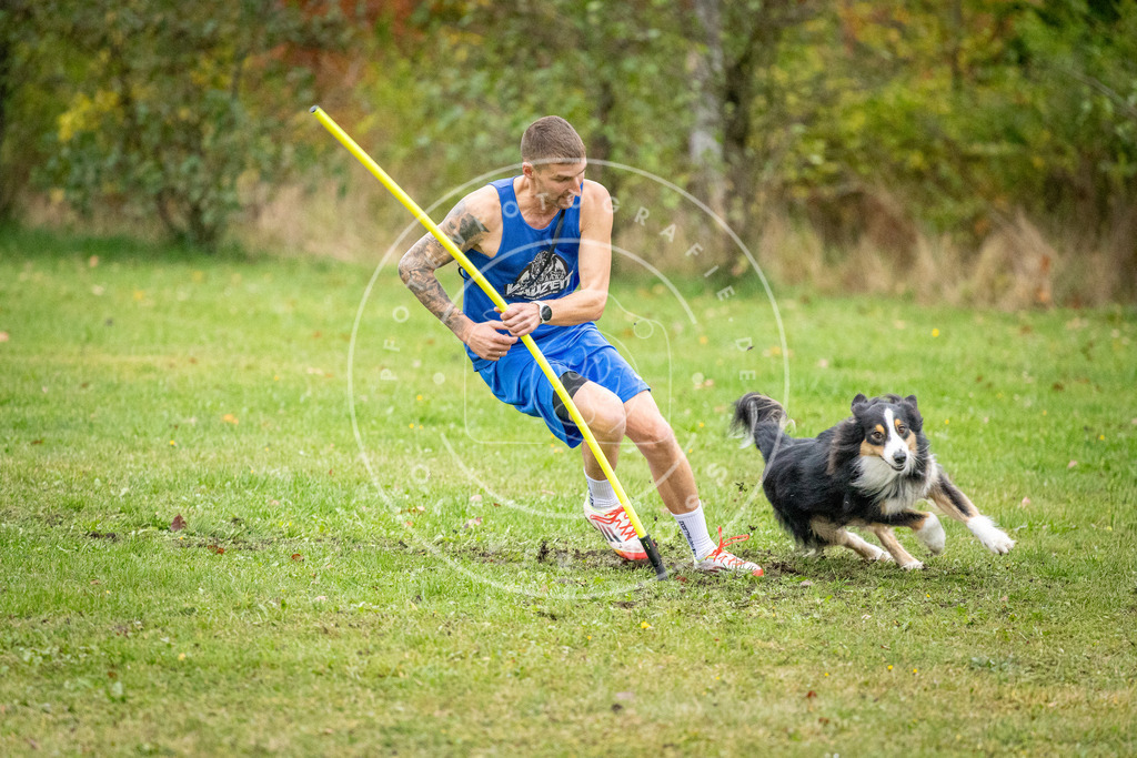 Pfotenfotografie_DV3A0876 | Hundefotografie, Tierfotograf, Pfotenfotografie, Fotoshooting Hund, Hunde Portrait, Hundesport, Hundeportraits, Heideshooting, Hunde, Sportfotograf, Hundefotograf, Turnierhundsport, THS,  - Realisiert mit Pictrs.com