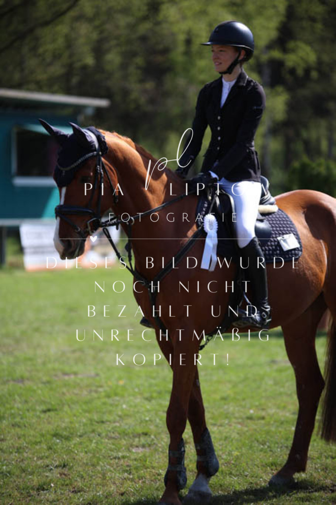 IMGT5727 | pl-fotografie