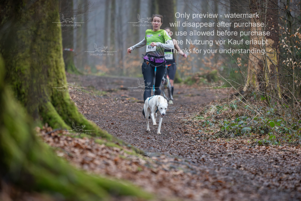 Canix_So-62 | stephaniefillaphotographie - Realisiert mit Pictrs.com