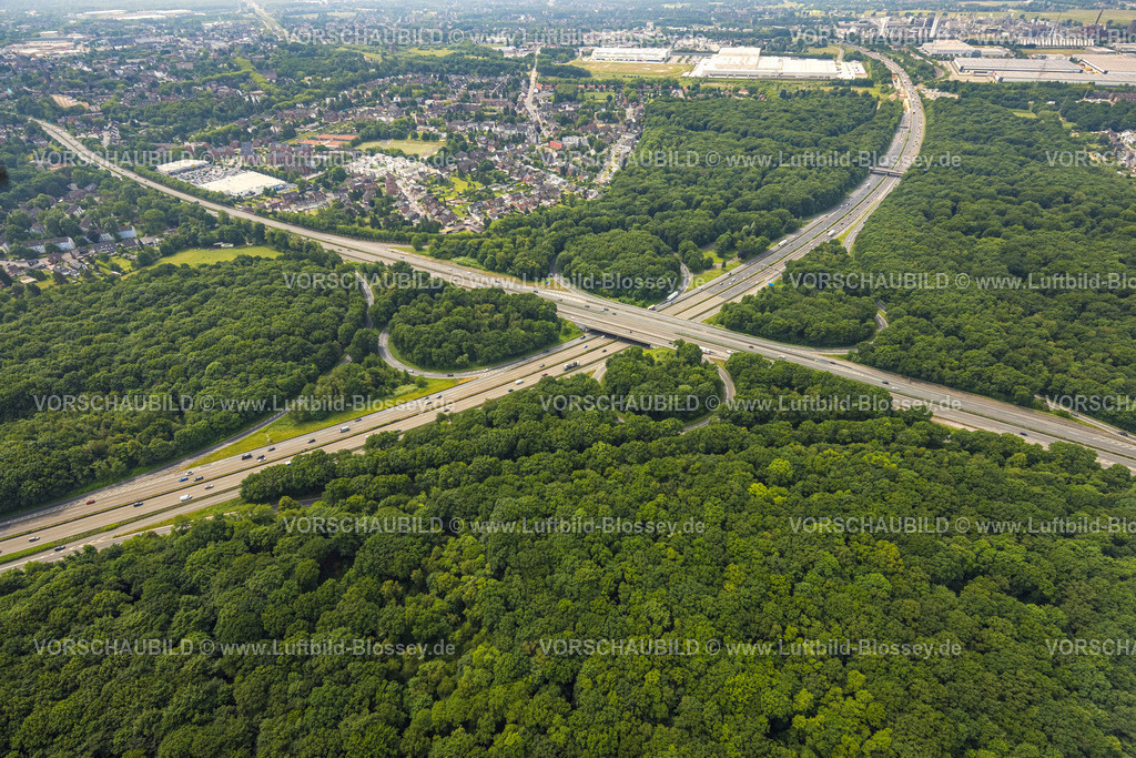 Oberhausen250516630 | Luftbild, Autobahnkreuz Oberhausen mit den Autobahnen A2 und A3, Naturschutzgebiet NSG Sterkrader Wald, Königshardt, Oberhausen, Ruhrgebiet, Nordrhein-Westfalen, Deutschland