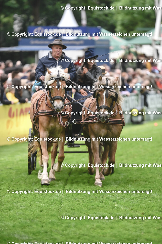 20240517_Lange-Pferdenacht_0160 | Foto: Thomas Hartig