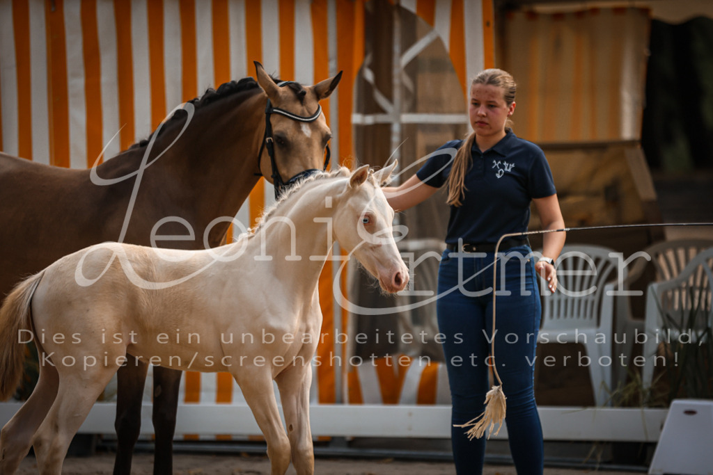 10.DoRP00032 | Leoni Ertmer Photography - Realisiert mit Pictrs.com