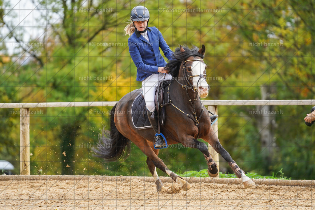 20221009-FAH08628 | Diessen am Ammersee, 2022, Dressur- und Springturnier, Reitsportbilder, Turnierfotografen Bayern, Pferdefotografen, Fotoagentur Herrmann, Turnierbilder