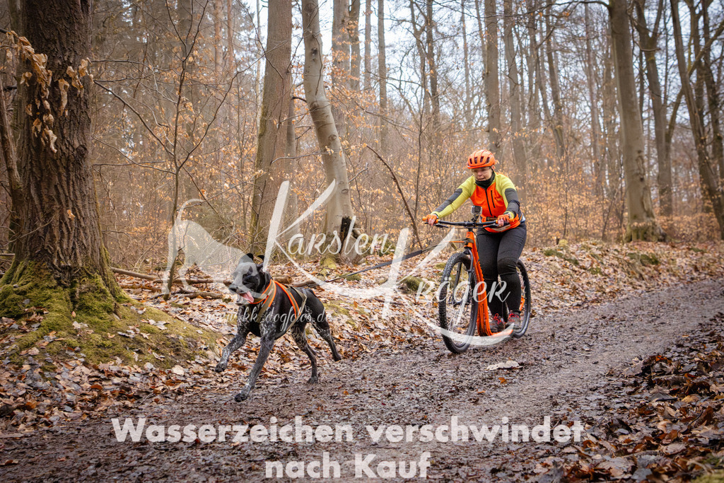 0855_ZZ94945 | kk-dogfotos