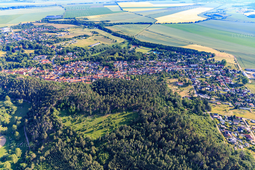 Luftbild: Ortsansicht aus Süden im Ortsteil Langenstein in Halberstadt im Bundesland Sachsen-Anhalt in Deutschland. Foto: IMG_148213.jpg vom 14.06.2025 durch Werner Riehm/FLY-FOTO.de