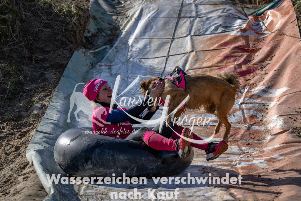 1505_ZZ90940-Bearbeitet | kk-dogfotos