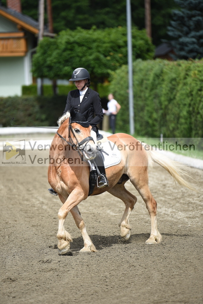 DSC_3832 | equestrian-live-com