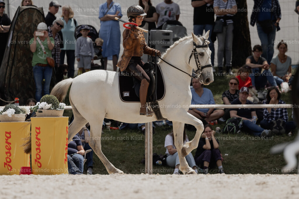 WE_ST_Stoib_347_PI2025_1053 | Pferd International München 2025