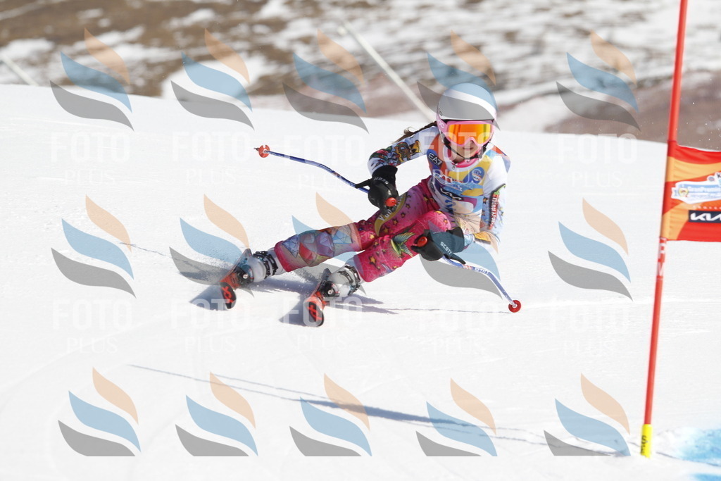 _U3G8507 | holidayphoto