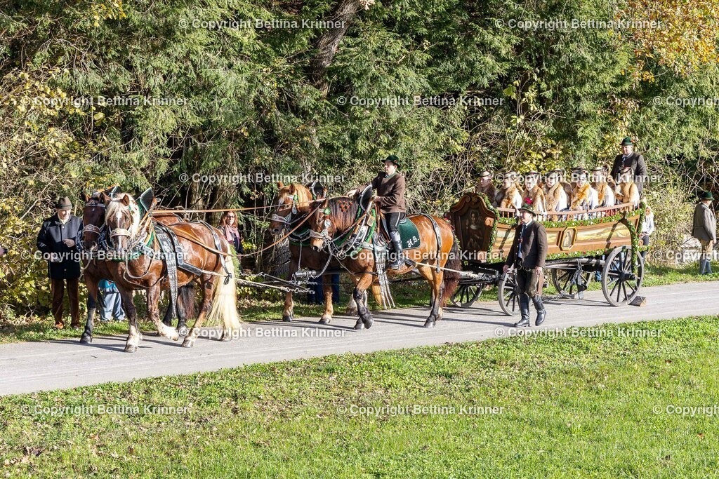 LBT24-108 | foto-bettina-krinner - Realisiert mit Pictrs.com