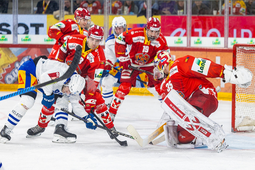 EHCB vs EVZ 20260227_WB-7555 | Sportbilder, Sportfotograf, Hochzeits- und Eventfotografin, Flugshows, Portraits und Tiershooting, Aviation, Downhill, Nationalleague, Swissleague, International