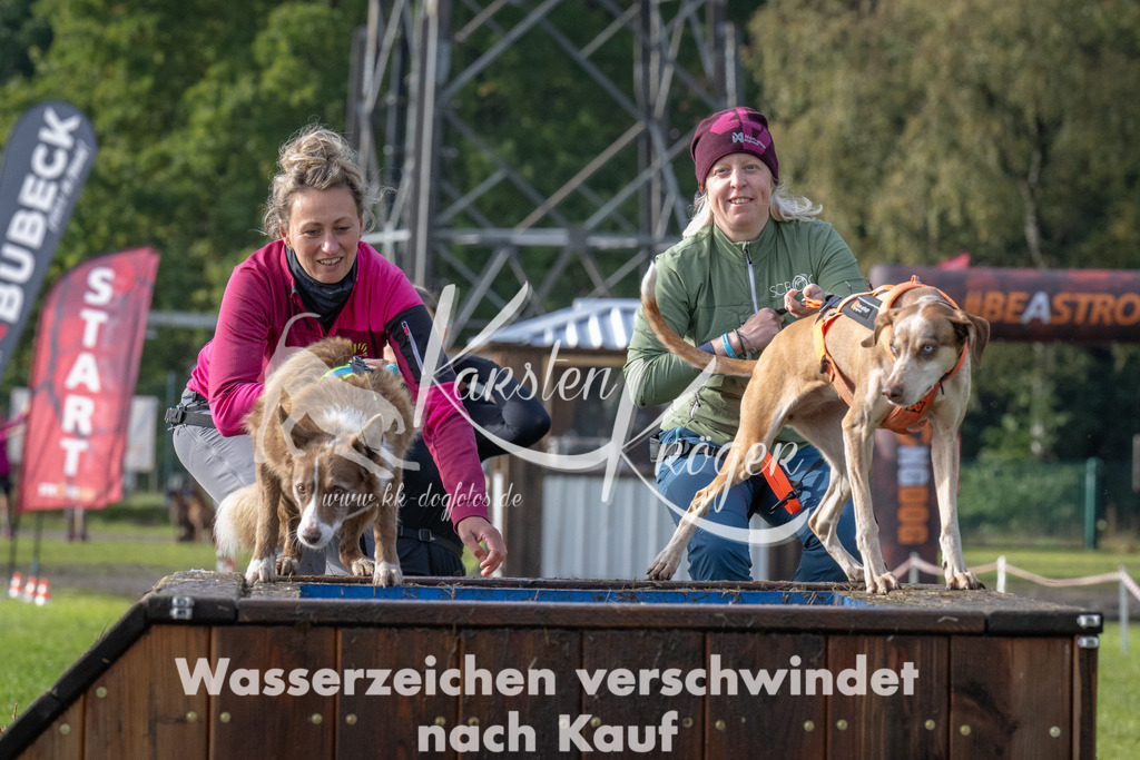 1419-94712 | kk-dogfotos