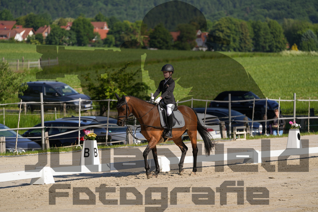 DSC02916 | Julian Held Fotografie - Realisiert mit Pictrs.com