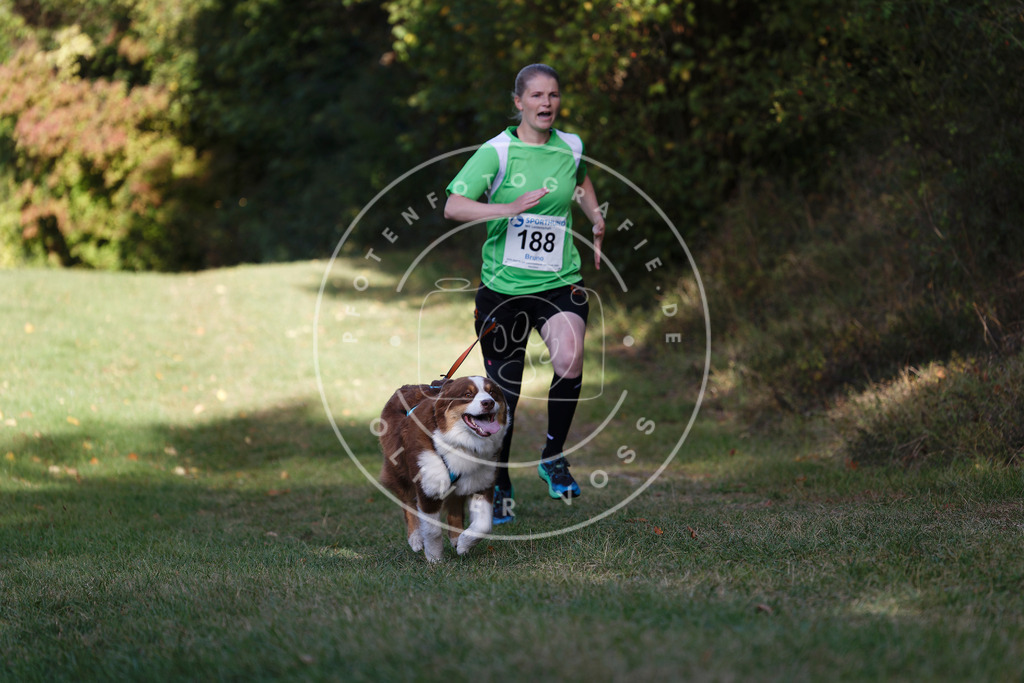 0L8A5751 | Hundefotografie, Tierfotograf, Pfotenfotografie, Fotoshooting Hund, Hunde Portrait, Hundesport, Hundeportraits, Heideshooting, Hunde, Sportfotograf, Hundefotograf, Turnierhundsport, THS,  - Realisiert mit Pictrs.com