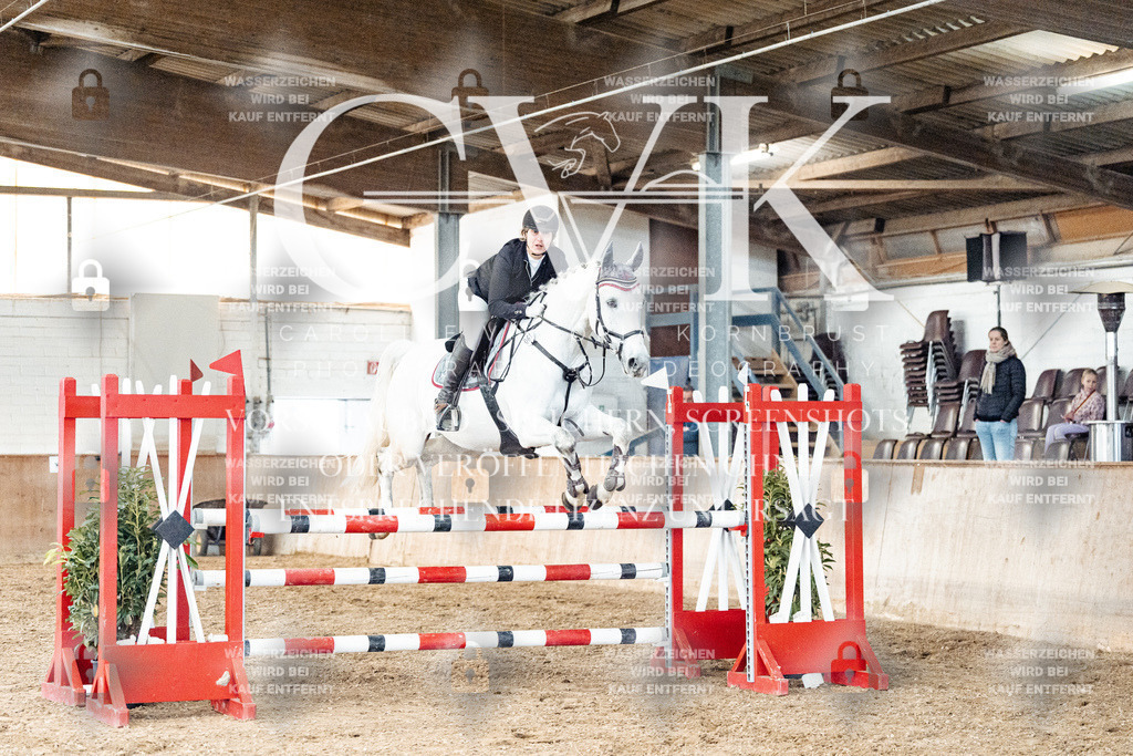 CK906275 | Turnierfotografie Pferdefotografie Trier Rheinland-Pfalz Pferdesport Reitsport Tierfotografie Sportfotografie Pferdevideo Pferdevideografie Equestrianvideography equestrianphotography  - Realisiert mit Pictrs.com