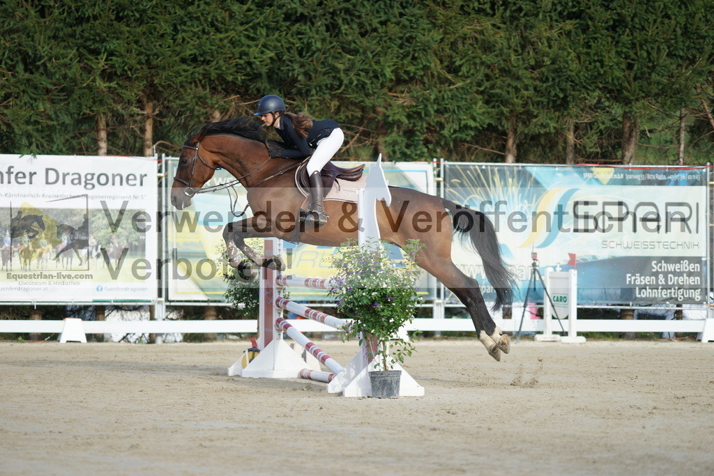 DSC01479 | equestrian-live-com