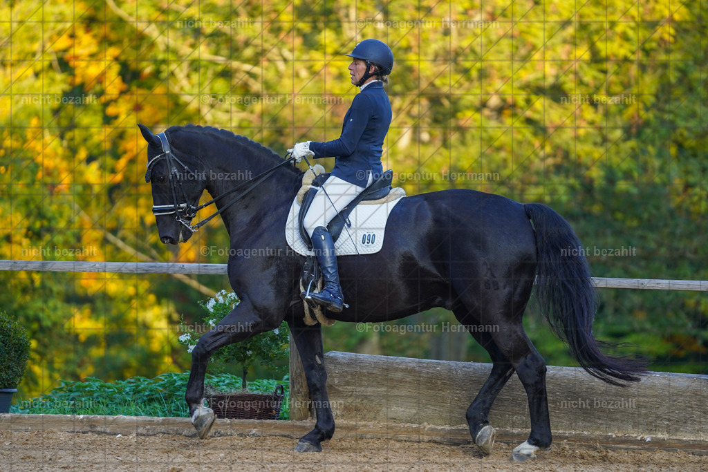 20221007-FAH00547 | Diessen am Ammersee, 2022, Dressur- und Springturnier, Reitsportbilder, Turnierfotografen Bayern, Pferdefotografen, Fotoagentur Herrmann, Turnierbilder