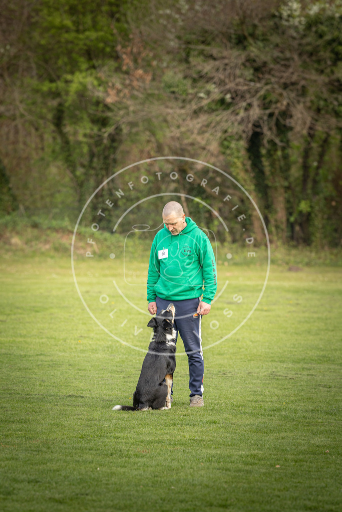 Pfotenfotografie_DV3A4907 | Hundefotografie, Tierfotograf, Pfotenfotografie, Fotoshooting Hund, Hunde Portrait, Hundesport, Hundeportraits, Heideshooting, Hunde, Sportfotograf, Hundefotograf, Turnierhundsport, THS,  - Realisiert mit Pictrs.com