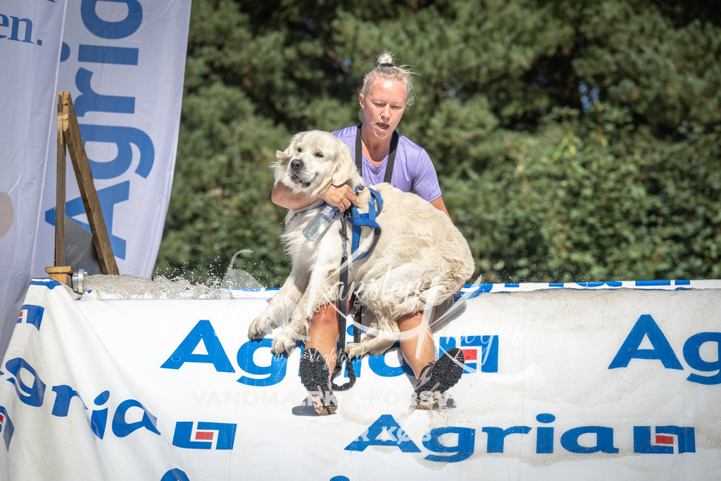 1420_ZZ93532 | kk-dogfotos