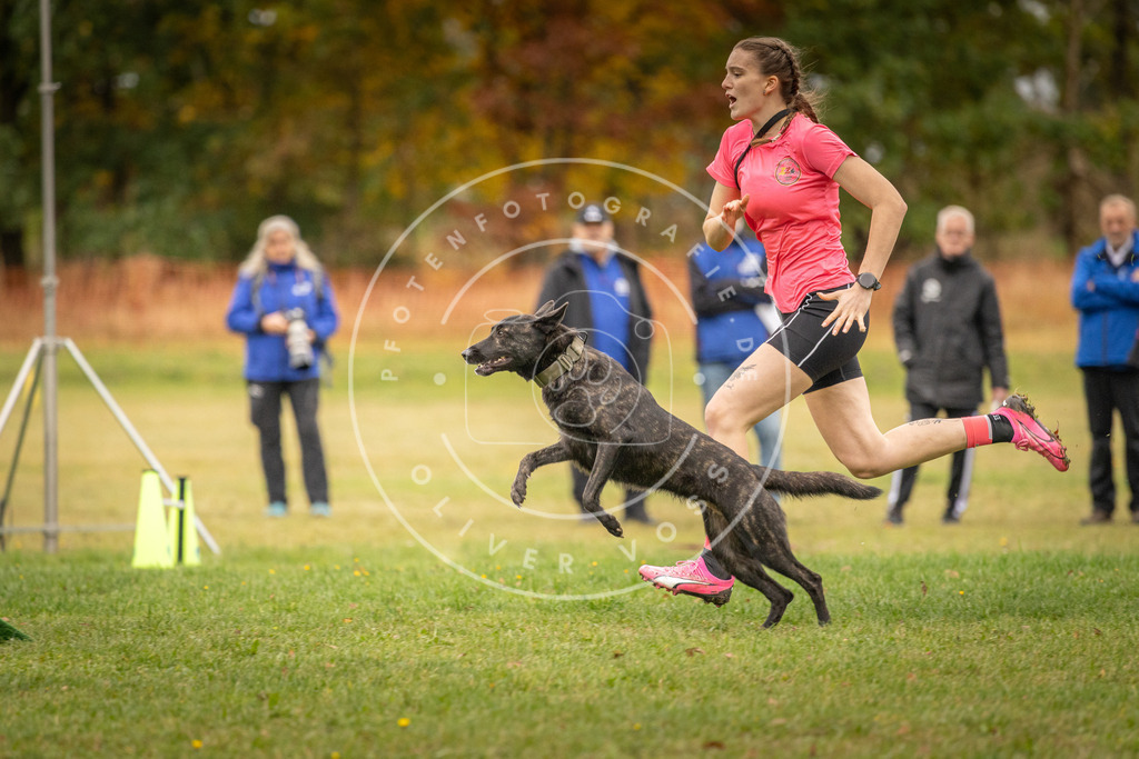 Pfotenfotografie_DV3A6423 | Hundefotografie, Tierfotograf, Pfotenfotografie, Fotoshooting Hund, Hunde Portrait, Hundesport, Hundeportraits, Heideshooting, Hunde, Sportfotograf, Hundefotograf, Turnierhundsport, THS,  - Realisiert mit Pictrs.com