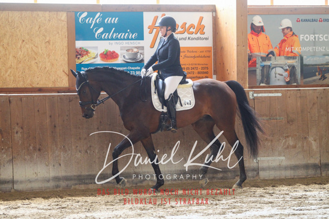 DKP43117 | Turnierfotos kaufen im Webshop von Daniel Kuhl Photography – entdecke professionelle Reitsportfotos aus Turnieren & Events. Hochwertige Turnierbilder online bestellen & sichern. Jetzt Fotos von Reitsportturnieren kaufen!