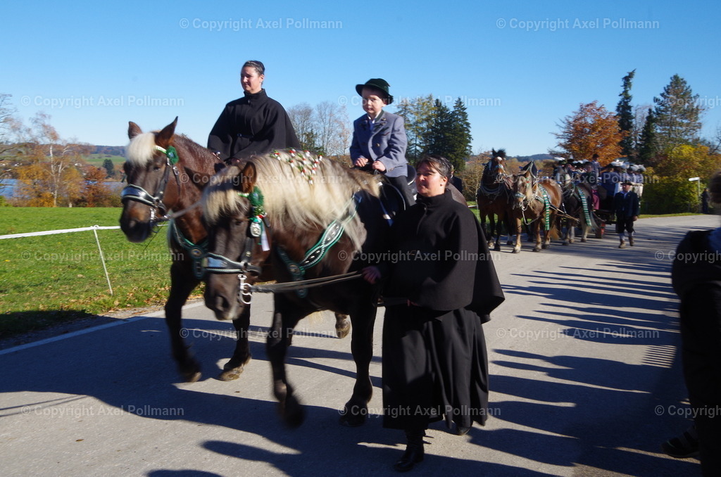 IMGP7888 | fotografiert von Axel PollmannLeonhardi Wallfahrt Benediktbeuern und Murnau, Fronleichnam, Fasching, Landschaft im Loisachtal und Benediktbeuern  - Realisiert mit Pictrs.com