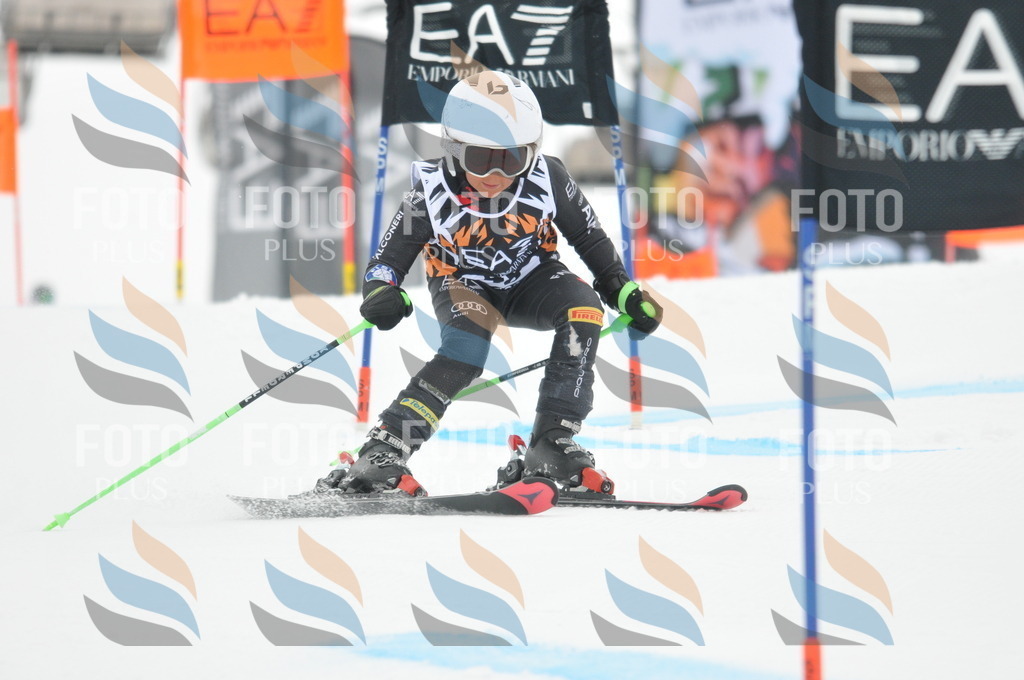 DSC_7696 | holidayphoto