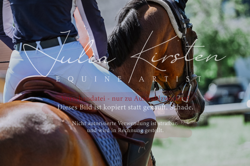 DSC_1350 | Pferde- und Turnierfotografie in Westsachsen. Pferdeportraits, Auftragszeichnungen und intuitive Kunst.