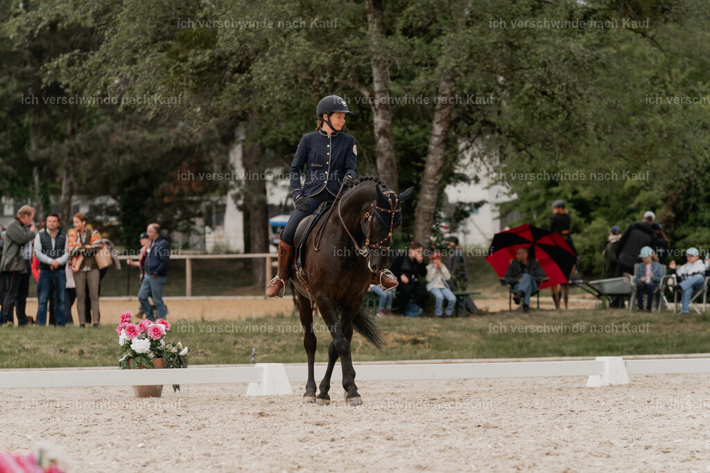 WE_DR_Stoib_315_PI2025_292 | Pferd International München 2025