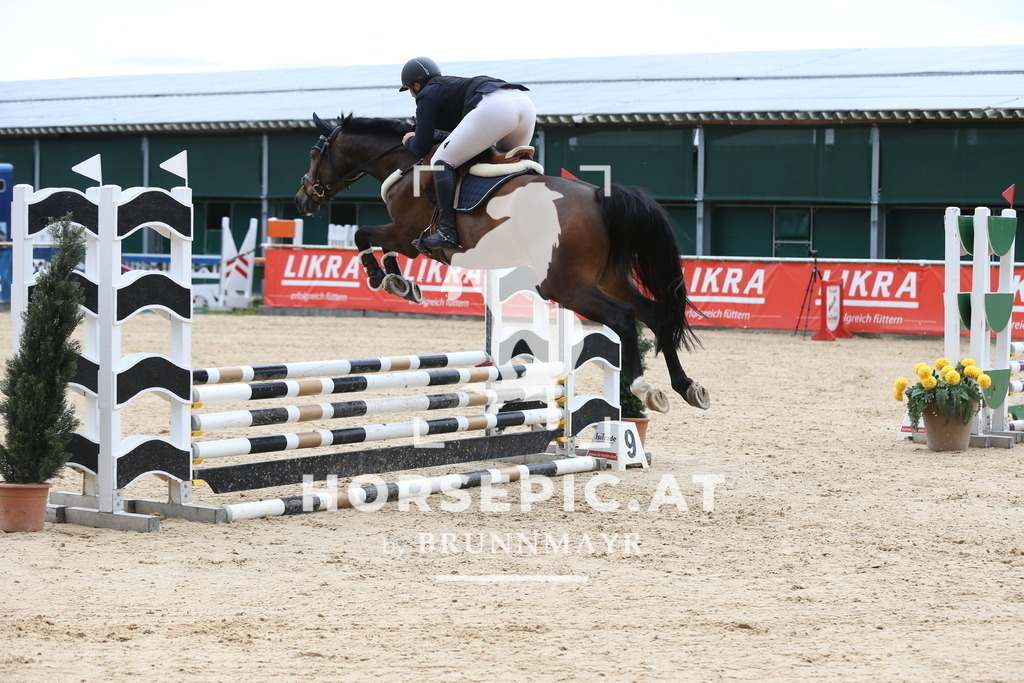 DL2Q4737 | Willkommen bei Brunnmayr - Design & Fotografie – Ihrem Spezialisten für Reitturniere und Pferdeveranstaltungen in Oberösterreich, Salzburg und Bayern! Seit über 17 Jahren sind wir leidenschaftlich dabei.