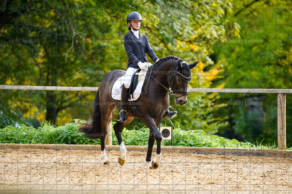 20221008-FAH00788 | Diessen am Ammersee, 2022, Dressur- und Springturnier, Reitsportbilder, Turnierfotografen Bayern, Pferdefotografen, Fotoagentur Herrmann, Turnierbilder