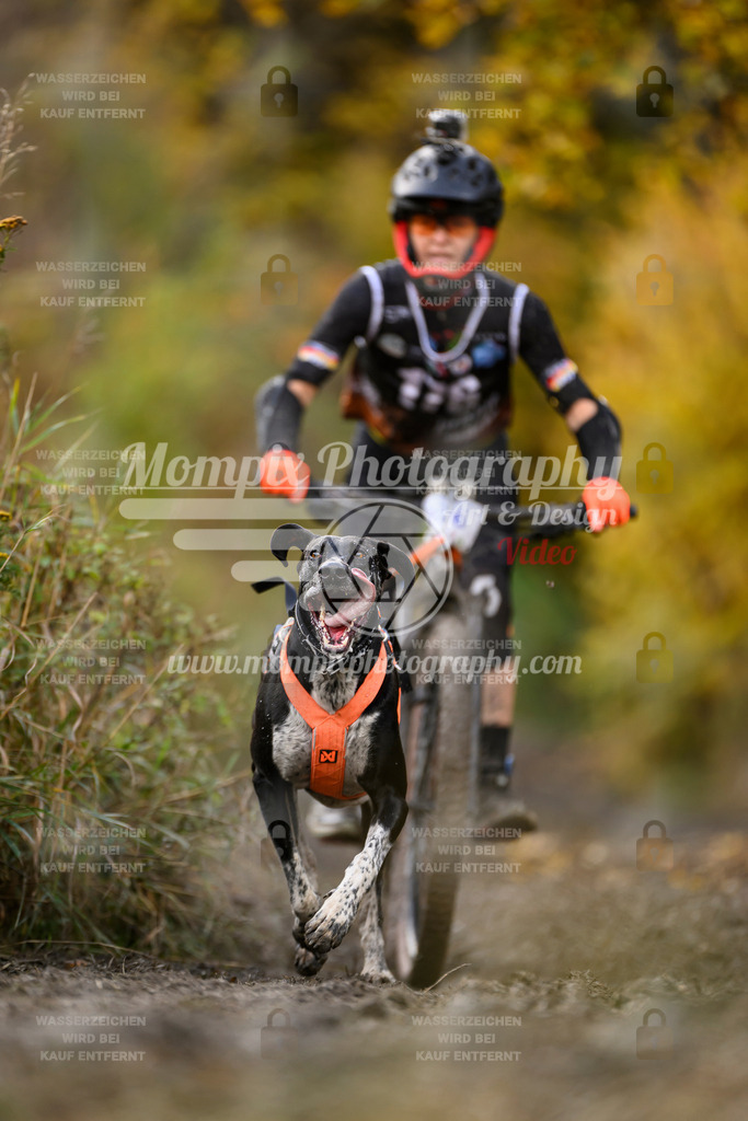 MompixPhotography_ICF_WC_2024_SA_Bike_-251 | PayLife