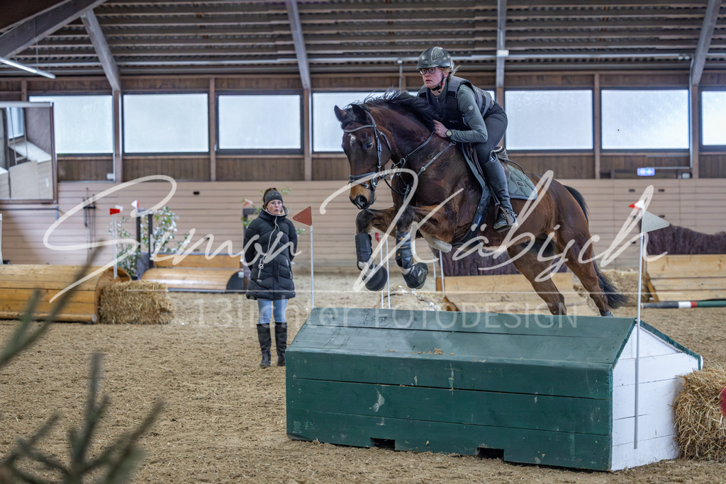 20260221-_3LI0087 | Tierfotografie Pferde, Hunde, Katzen, Haustiere.
Turnierfotografie Reitturniere, Reiten, Springreiten, Dressur in Hanau, dem Main-Kinzig-Kreis und dem Rhein-Main- Gebiet um Frankfurt