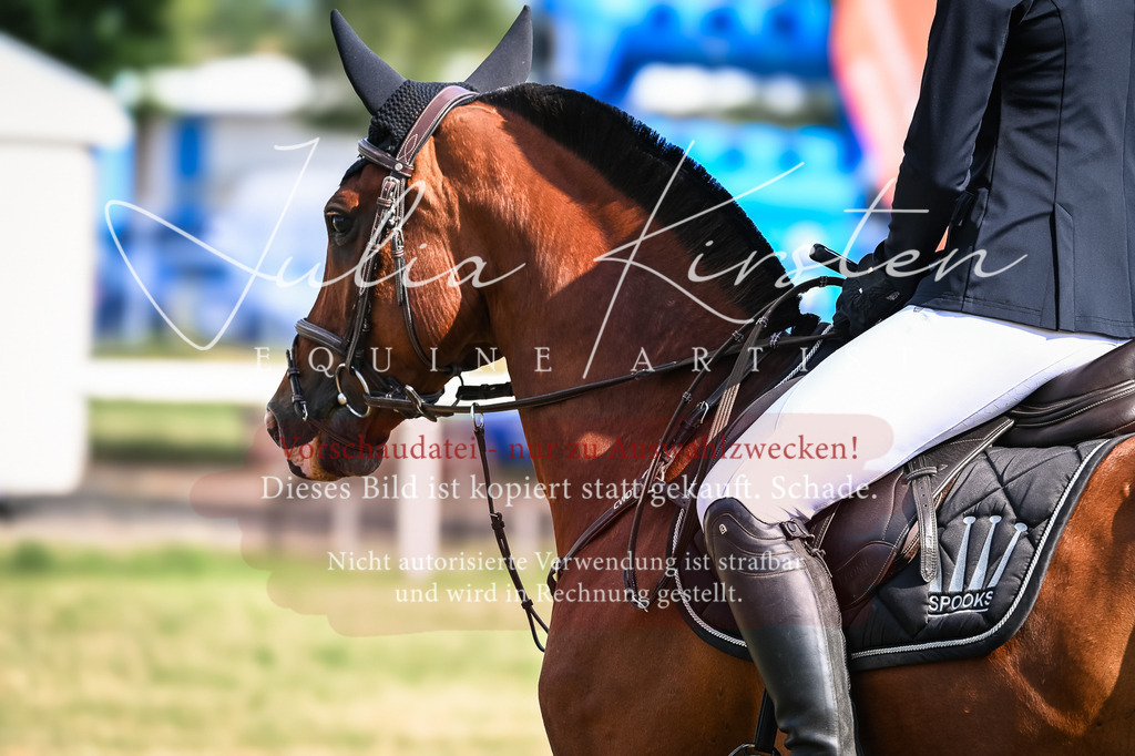 DSC_7894 | Pferde- und Turnierfotografie in Westsachsen. Pferdeportraits, Auftragszeichnungen und intuitive Kunst.