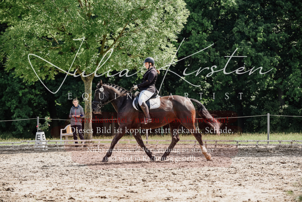 DSC_0188 | Pferde- und Turnierfotografie in Westsachsen. Pferdeportraits, Auftragszeichnungen und intuitive Kunst.