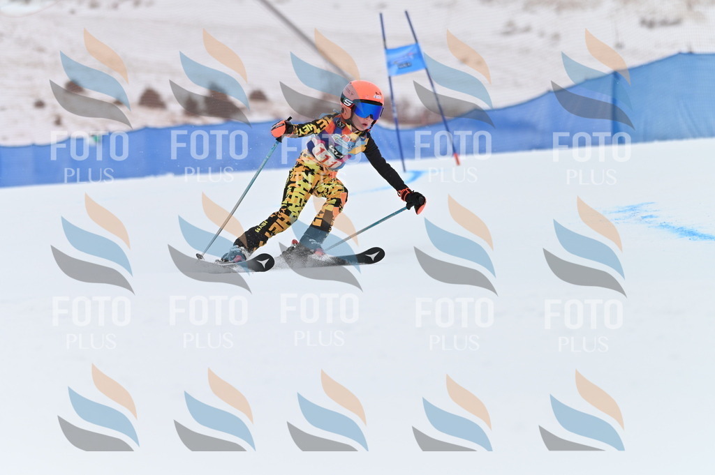 BGV_9445 | holidayphoto