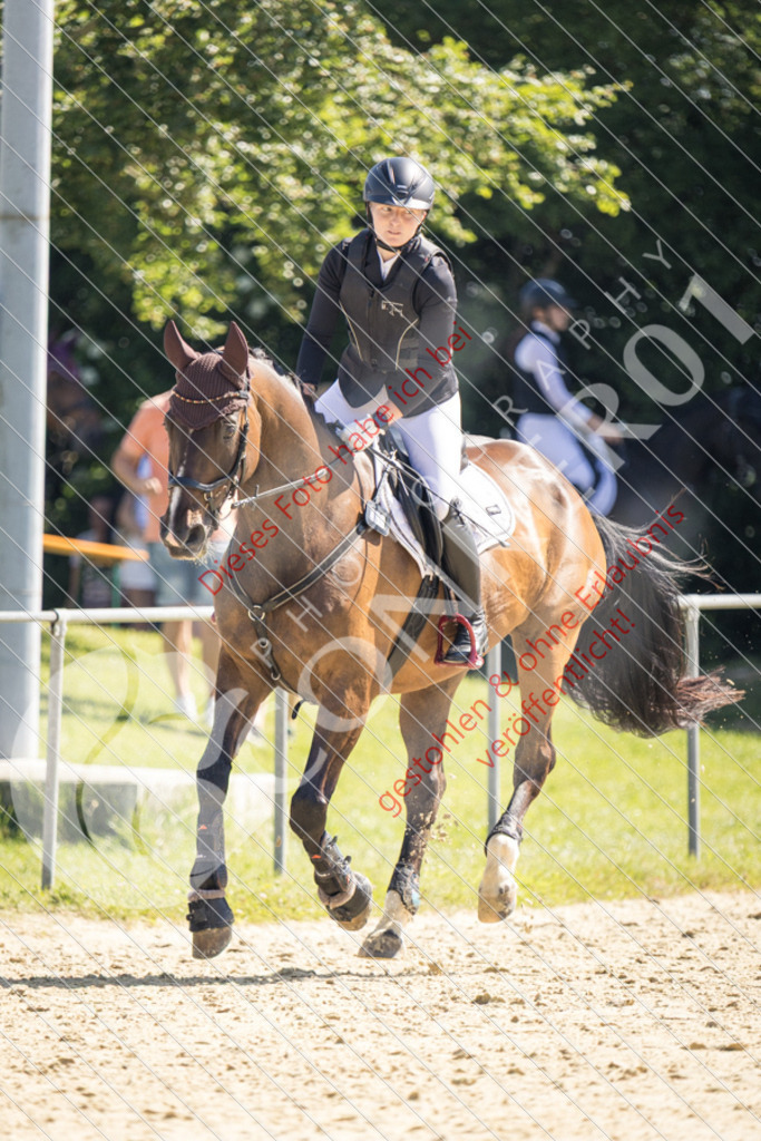 IMG_3303 | Sport-, Event- und Tierfotos in Profiqualität. Einfach auswählen, bestellen und herunterladen. Dein Moment – perfekt festgehalten.