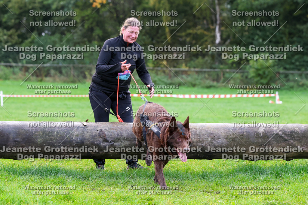 Dog Paparazzi -  SD1026-1019 | Dog Paparazzi Jeanette Grottendiek Fotografie & Videografie - Realisiert mit Pictrs.com