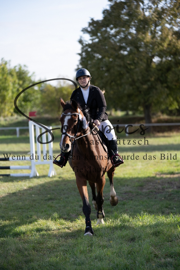 A7V06608 | Pferdefotograf