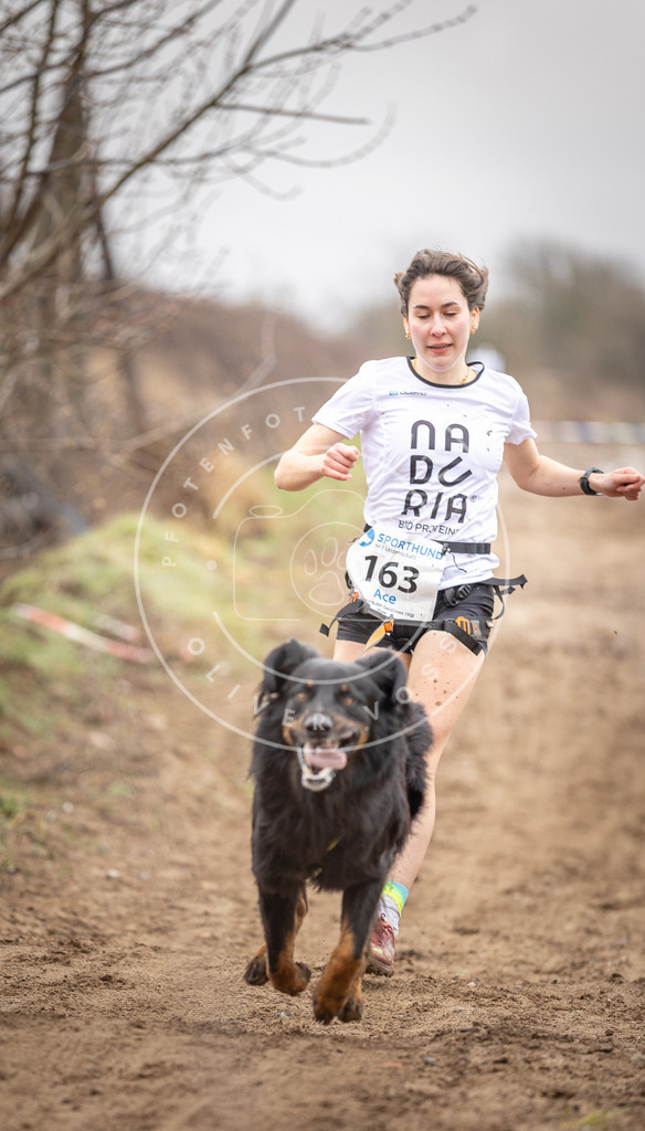 DV3A9619 | Hundefotografie, Tierfotograf, Pfotenfotografie, Fotoshooting Hund, Hunde Portrait, Hundesport, Hundeportraits, Heideshooting, Hunde, Sportfotograf, Hundefotograf, Turnierhundsport, THS,  - Realisiert mit Pictrs.com