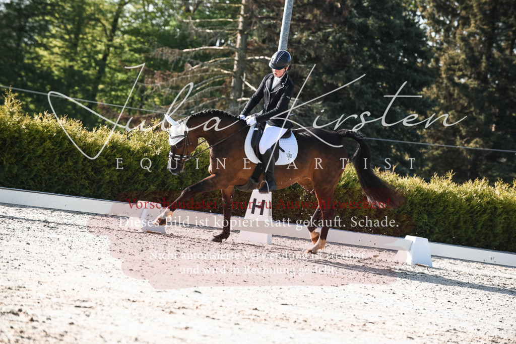 20230518_JK-Röhrsdorf-09-0612 | Pferde- und Turnierfotografie in Westsachsen. Pferdeportraits, Auftragszeichnungen und intuitive Kunst.