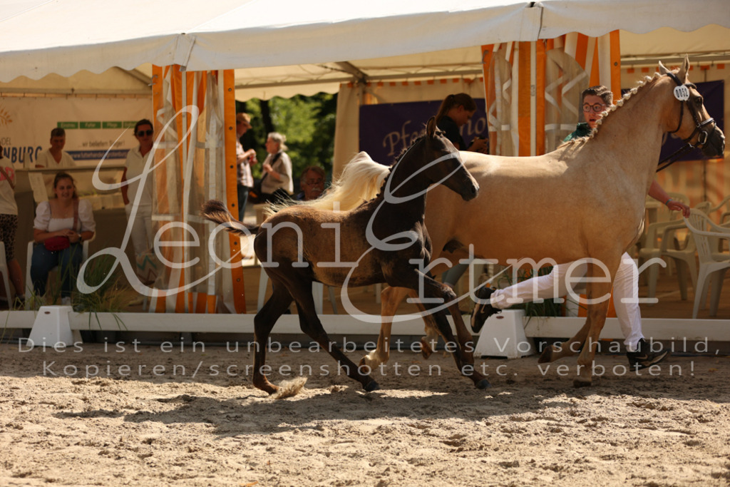 08.DoRPS00054 | Leoni Ertmer Photography - Realisiert mit Pictrs.com