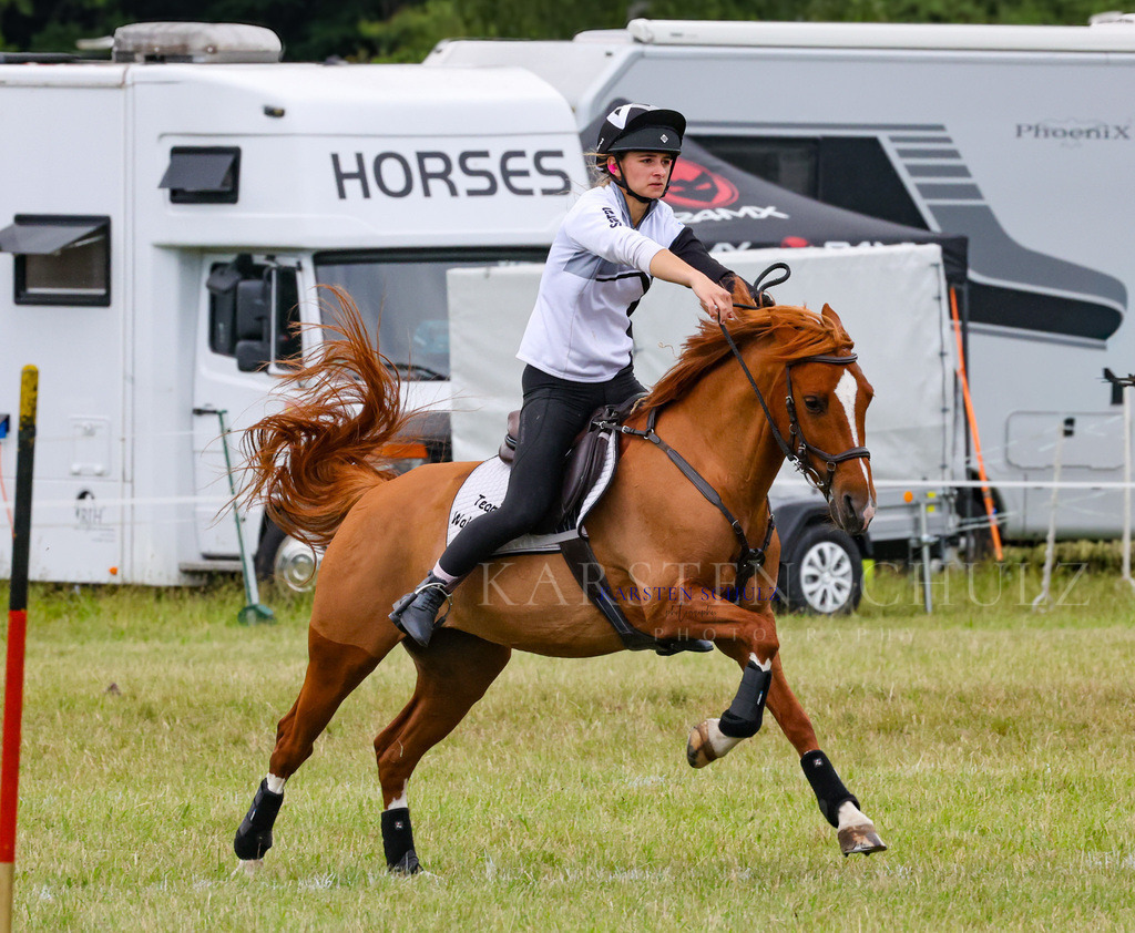 1B3A2799 | Reitsport Reiten