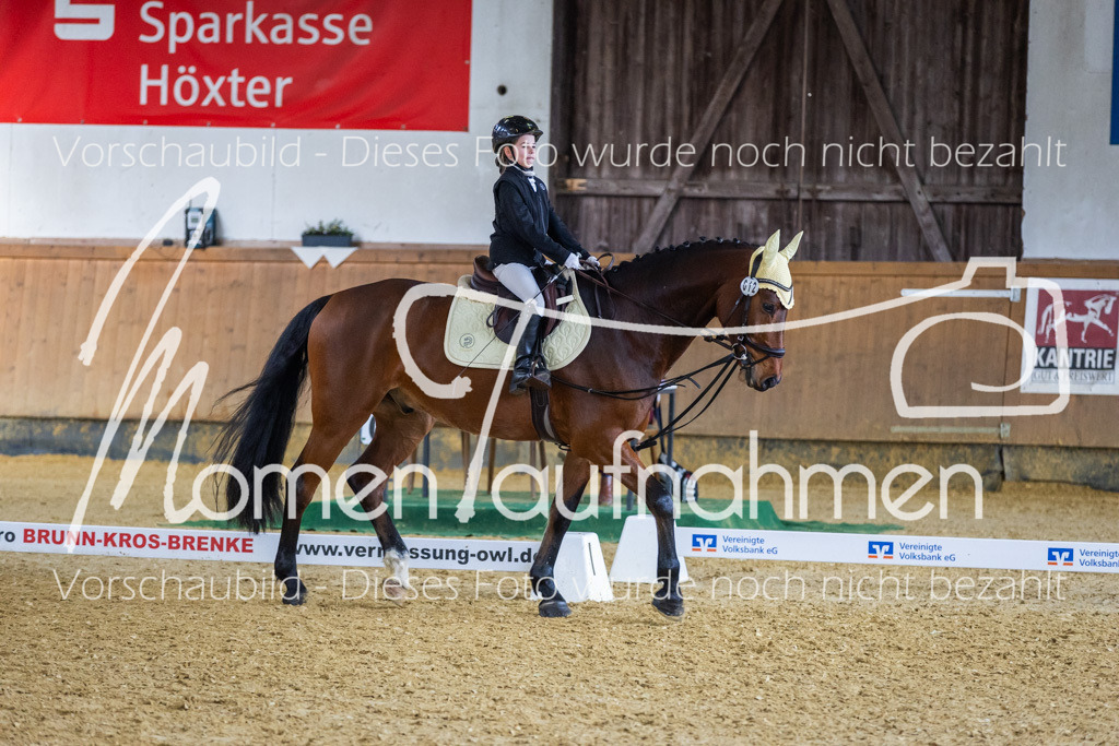 _M2A1896 | MomenTaufnahmen Pferdesportfotos